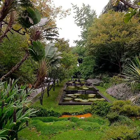 Casa Do Sossego 别墅 *