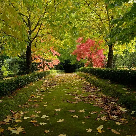 Refugio No Vale - Casa Do Sossego フルナス