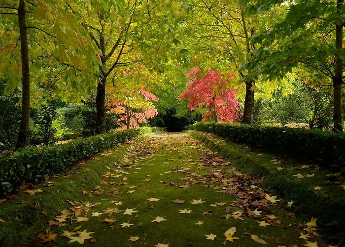 Refugio No Vale - Casa Do Sossego Furnas (Azores)